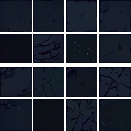 Tileset de base